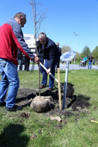 В Центре Илизарова заложили липовую аллею в честь 95-летия со дня рождения его основателя