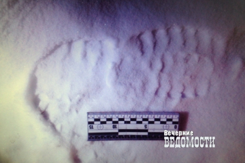 Измученных жаждой похитителей кваса уральские полицейские нашли по следам на снегу