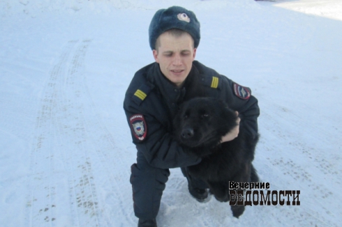 К уральскому вору-домушнику полицейских привела собака Жемчужина