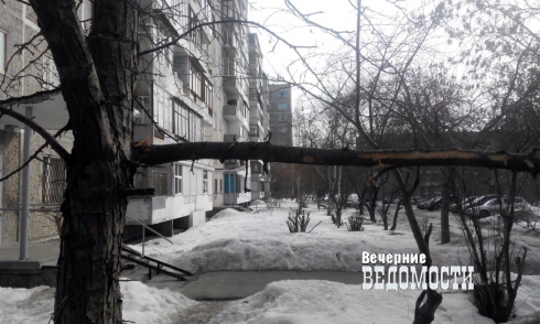 Коммунальщики Екатеринбурга отчитываются в уборке улиц, заваливая снегом дворы (фото, видео)