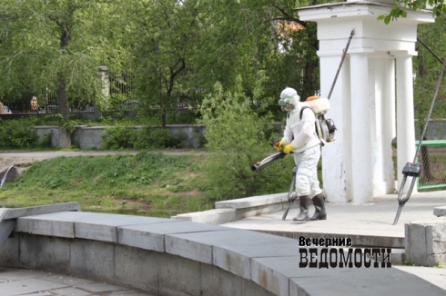Екатеринбург выходит на тропу войны с клещами