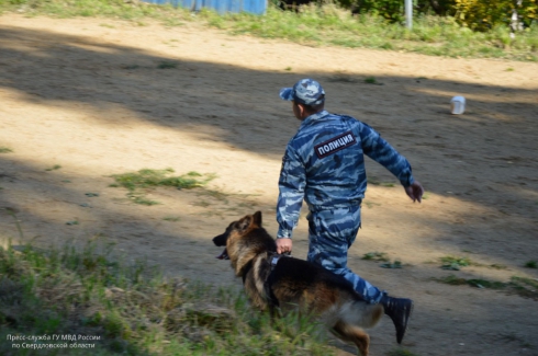 В Новоуральске стартовал чемпионат МВД России. В числе участников — 227 собак