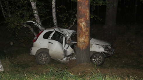 Пьяного водителя на трассе Екатеринбург — Курган остановило дерево. Машина — в хлам