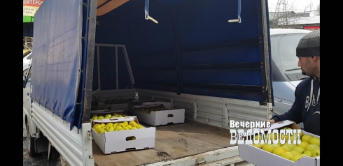 В Екатеринбурге обнаружили 600 килограмм «контрабандных» яблок