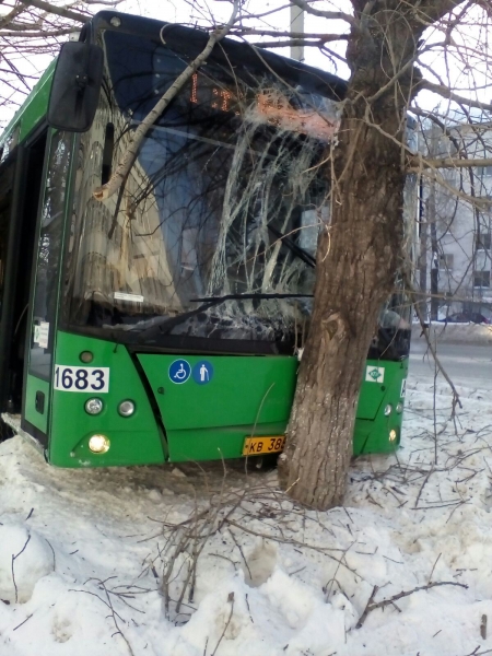 В Екатеринбурге автобус маршрута №1 врезался в дерево (фото)