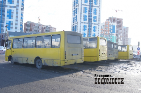 В Екатеринбурге поймали водителя маршрутки с поддельными правами (ФОТО)