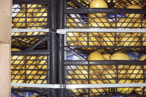 Россельхознадзор Зауралья: на границе с Казахстаном пытались провезти 19 тонн лимонов и гранатов неизвестного происхождения