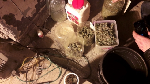 В Нижнем Тагиле нашли «марихуановую» квартиру