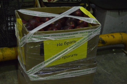 С начала года в Екатеринбурге уничтожили более 35 тонн «санкционки»