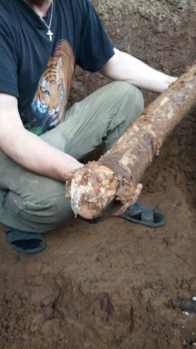 На дачном участке недалеко от Екатеринбурга нашли кости мамонта