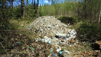 Прокуратура заставила ликвидировать свалки бытовых отходов в Ревде