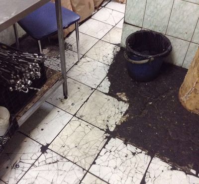 В Екатеринбурге на три месяца закрыли кафе из-за жуткой антисанитарии