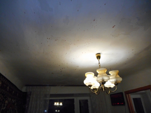 Кровь по всей квартире: 26-летний житель Кировграда убил сводного брата кувалдой