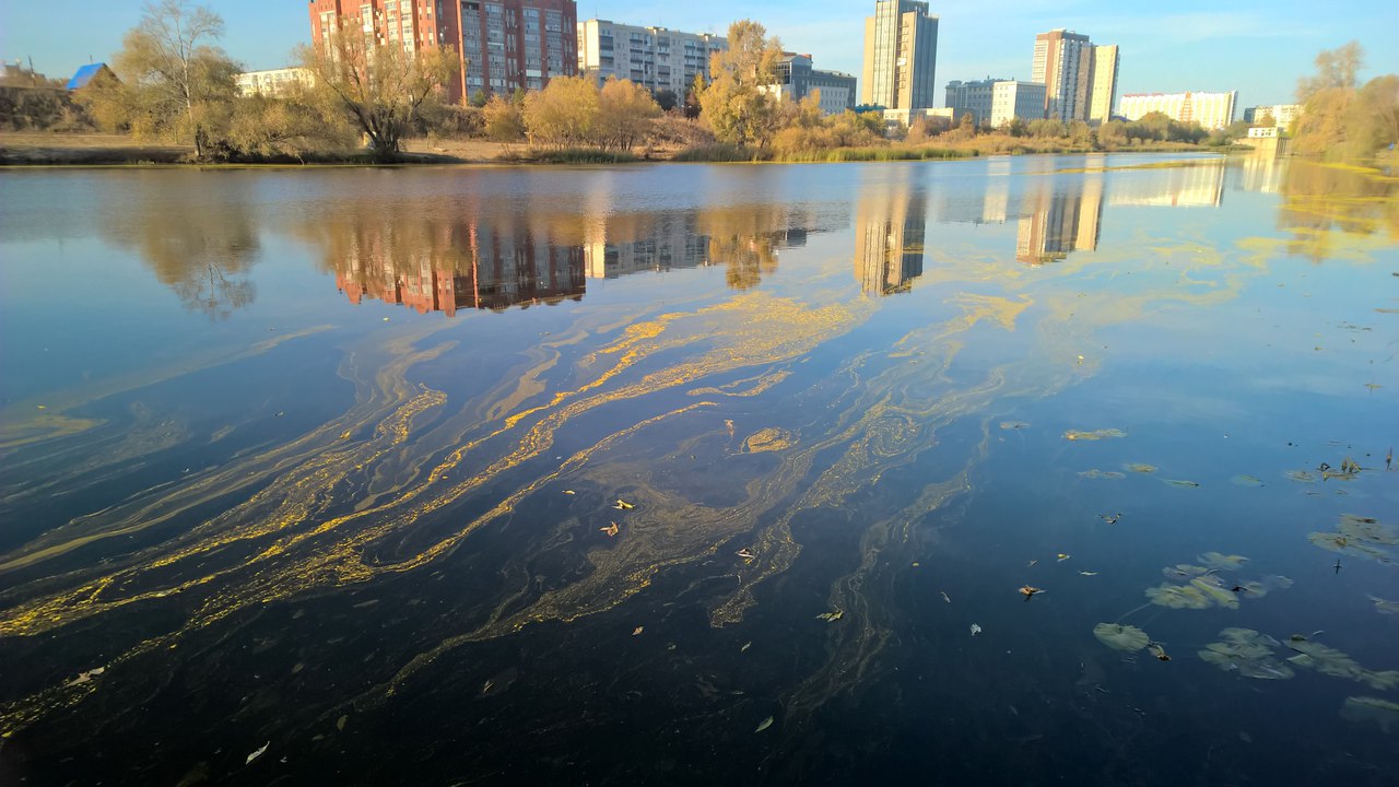 Водный курган. Река Тобол Курган. Костанай Тобол река. Река Тобол Курганская область. Тобол река Омск.