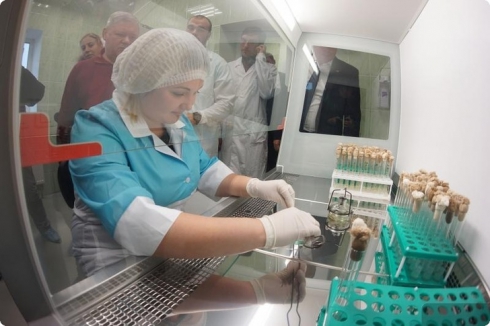 В Свердловской области открыли селекционно-семеноводческий центр «Уральский картофель»
