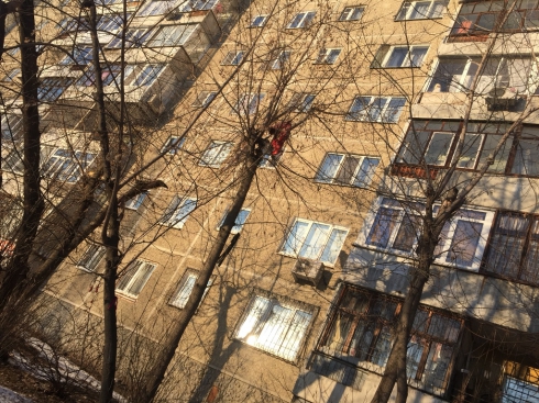 В доме на Большакова в Екатеринбурге пенсионерка обкидывает соседей фекалиями