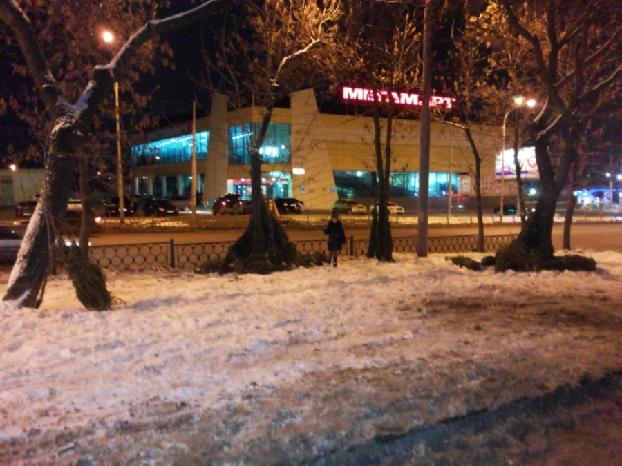 Свалки из «живых» деревьев устраивают торговцы новогодними елями в Екатеринбурге