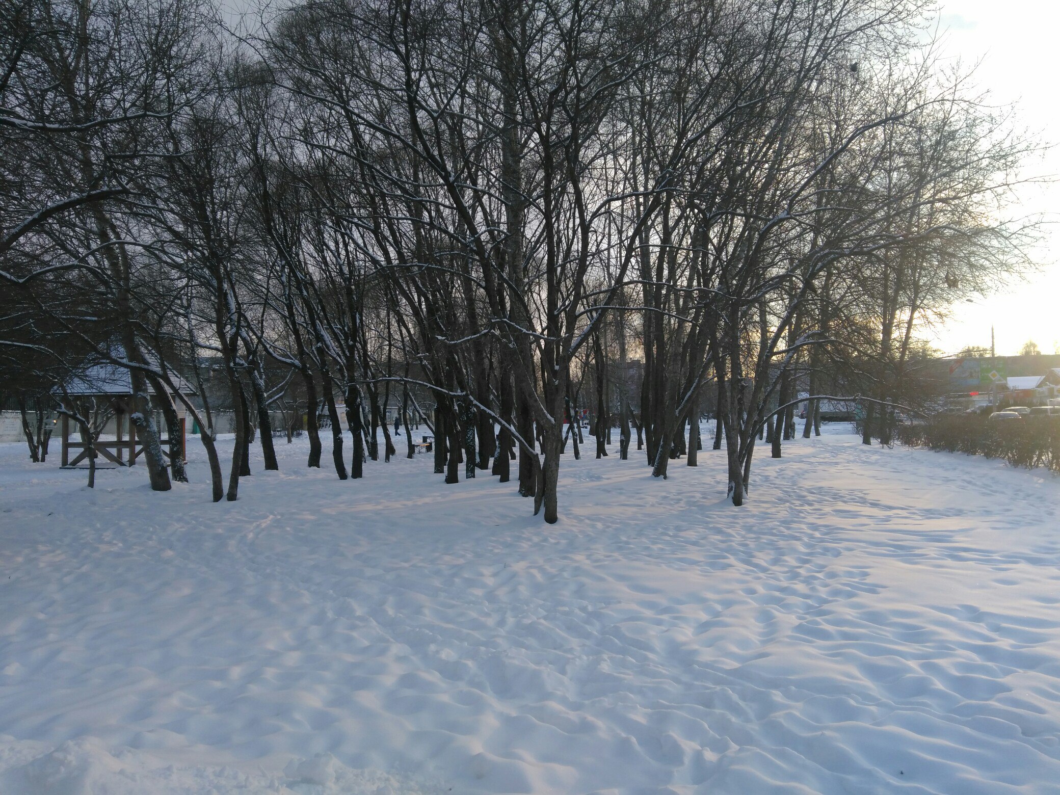 В Прикамье на этой неделе похолодает до -27°. В Прикамье потеплеет к концу недели.