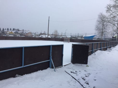 В поселке Валериановск на 7-летнюю девочку упали хоккейные ворота. Ребенок получил травму головы