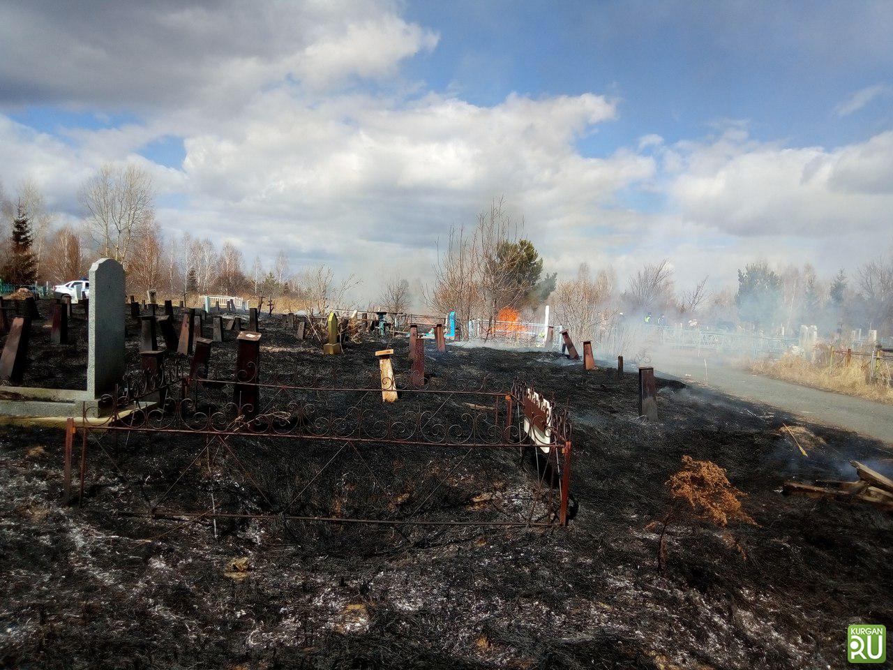 В Кургане горит городское кладбище «Зайково»: «Множество могил уже  выгорели. Все заволокло дымом» » Вечерние ведомости