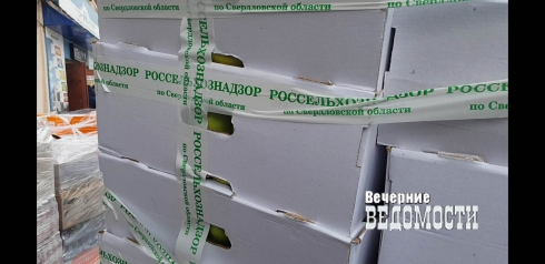 В Екатеринбурге обнаружили 600 килограмм «контрабандных» яблок