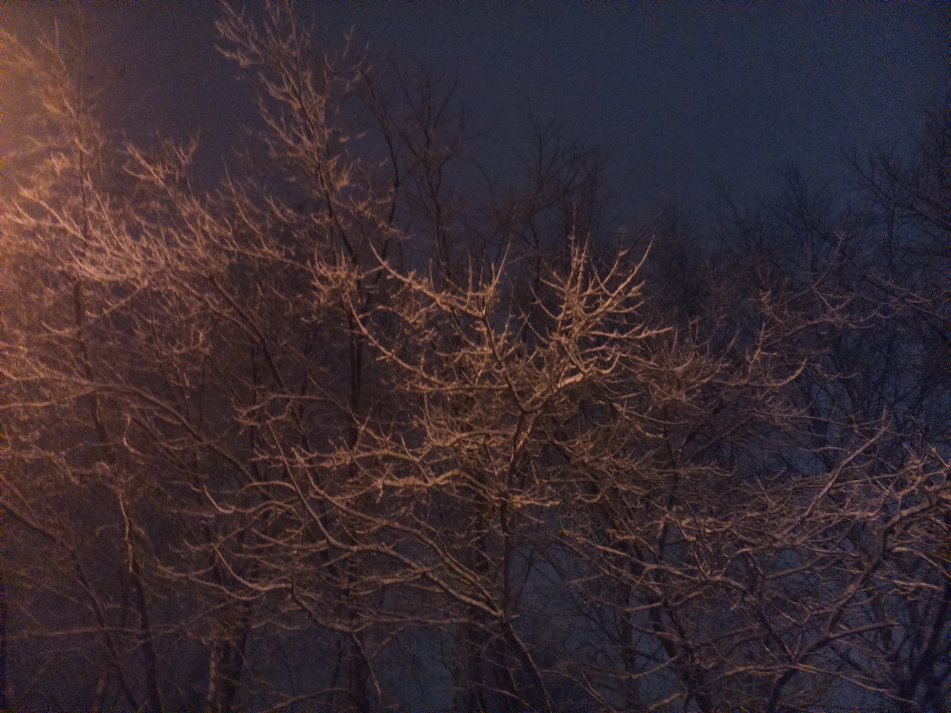 Погода вечером 20. Пасмурная Снежная погода хорошее качество ночь. Вертикальные фото пасмурной зимней погоды в Москве.