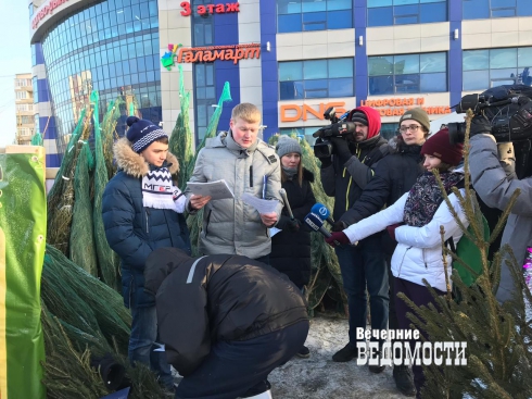 Елочные базары в Екатеринбурге не прошли проверку общественников