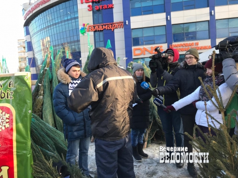 Елочные базары в Екатеринбурге не прошли проверку общественников