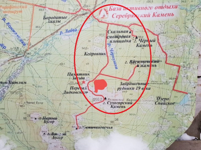 На севере Свердловской области идёт поиск пропавших туристок из Екатеринбурга
