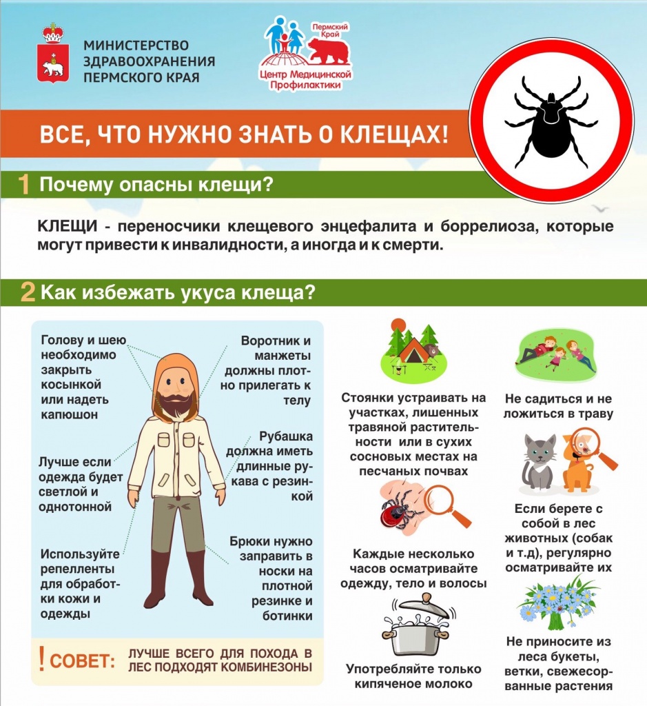 Памятки по клещевому энцефалиту для детей в картинках