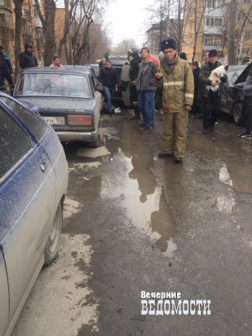 В Екатеринбурге иномарка врезалась в стоящие машины и перевернулась