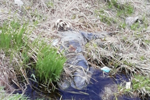 В Екатеринбурге в канаве нашли скелет человека