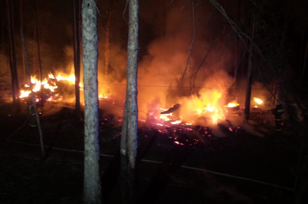 Ночью в Екатеринбурге в ЦПКиО им. Маяковского произошёл пожар. Сгорела конюшня