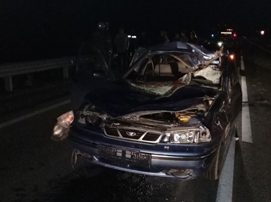 В ДТП под Берёзовском погибли водитель автомобиля и лось