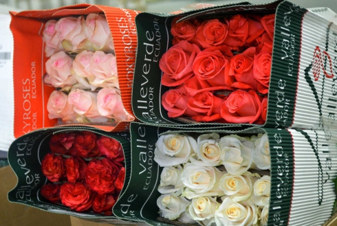 В Екатеринбург из Амстердама прибыло 150 тонн цветов 