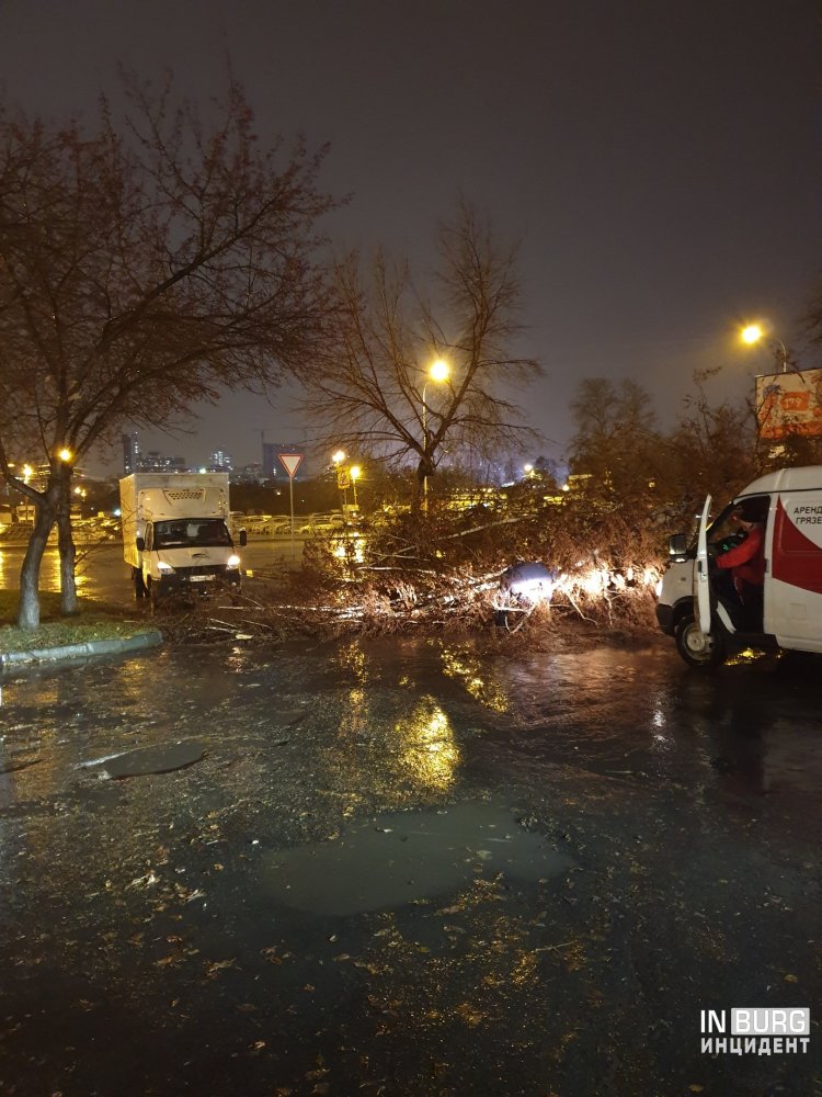 На улицах Екатеринбурга из-за ветра на дороги стали падать деревья 