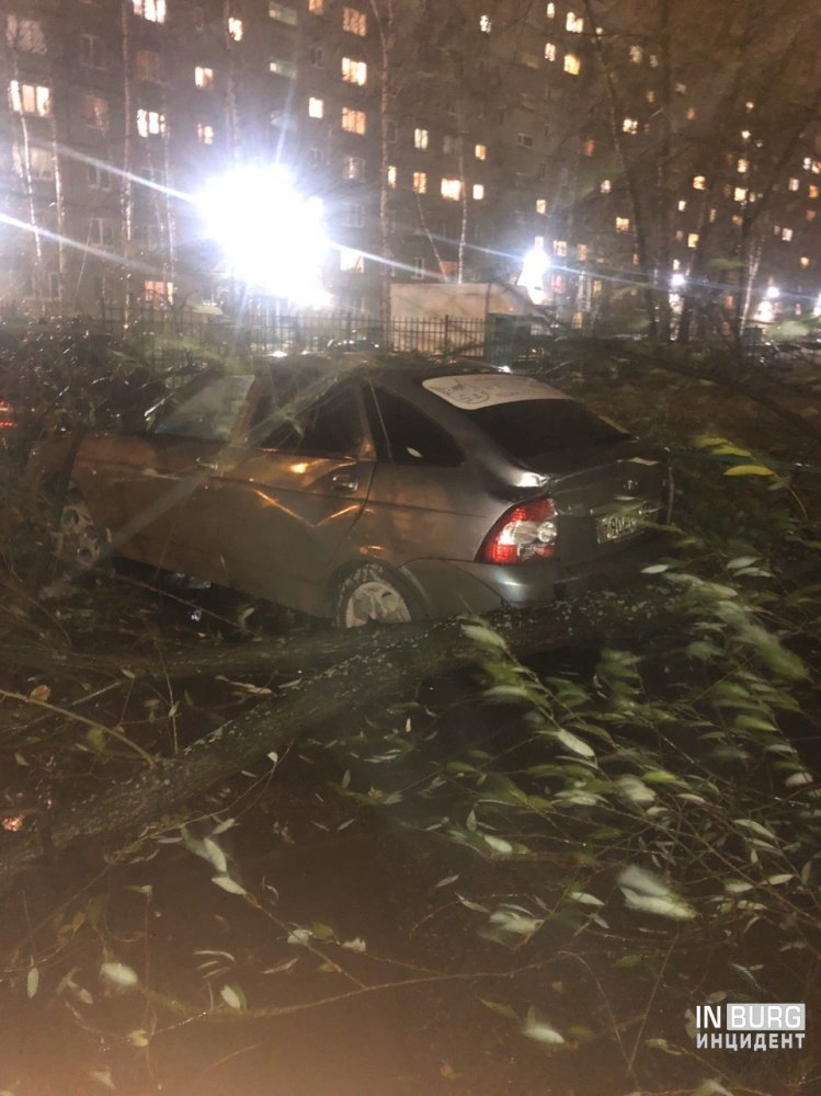 На улицах Екатеринбурга из-за ветра на дороги стали падать деревья 