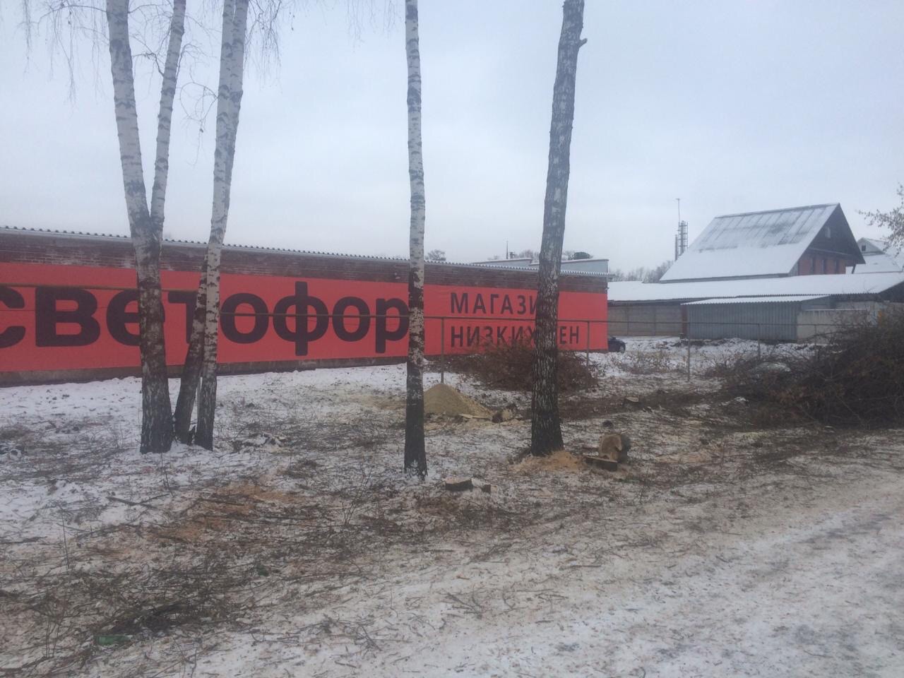 На окраине Екатеринбурга неизвестные вырубили защитную полосу вдоль дороги (ФОТО)