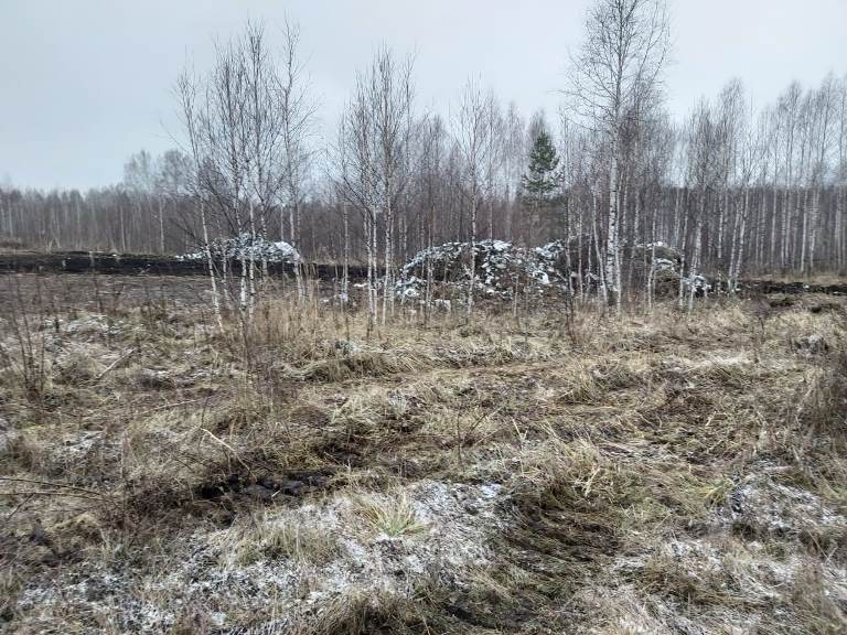 МинЖКХ Свердловской области запретило строительство мусорного полигона в Березовском, но местные власти с этим не согласны raquo Вечерние ведомости