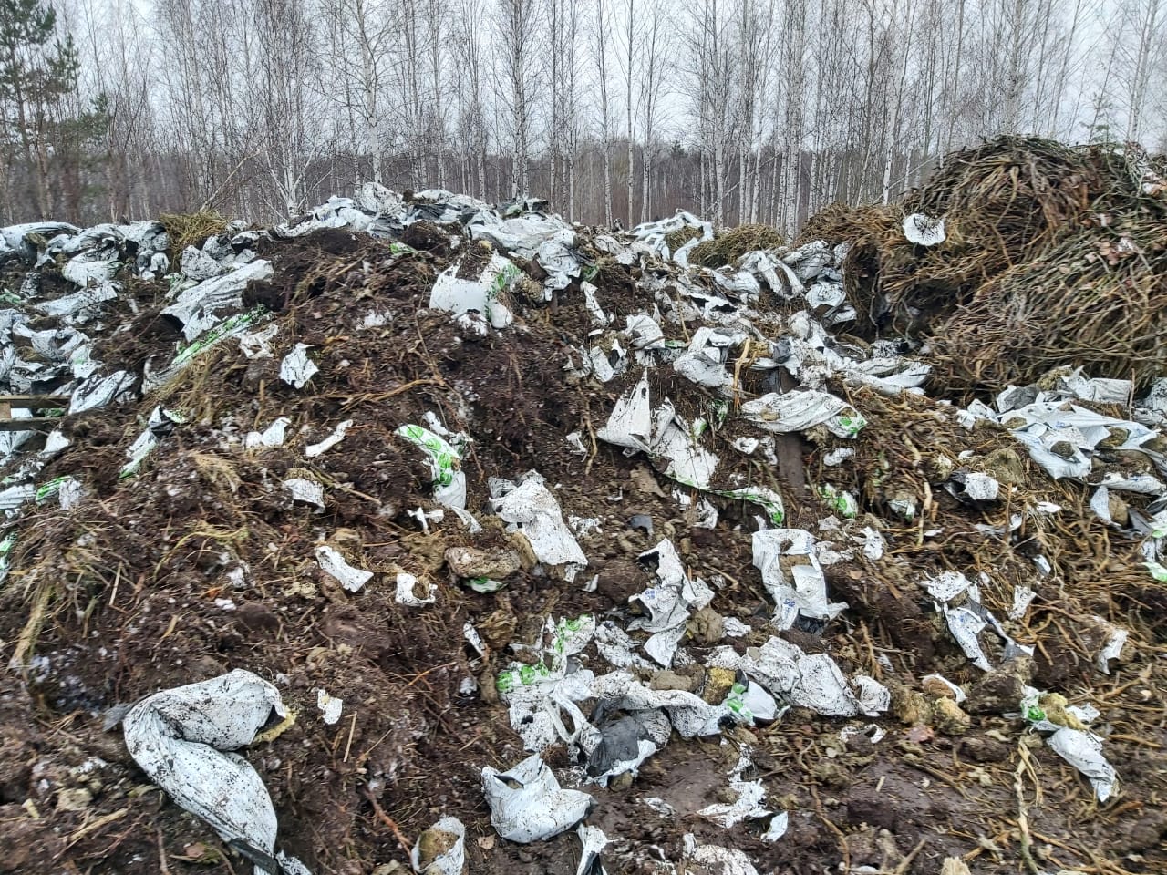 МинЖКХ Свердловской области запретило строительство мусорного полигона в Березовском, но местные власти с этим не согласны