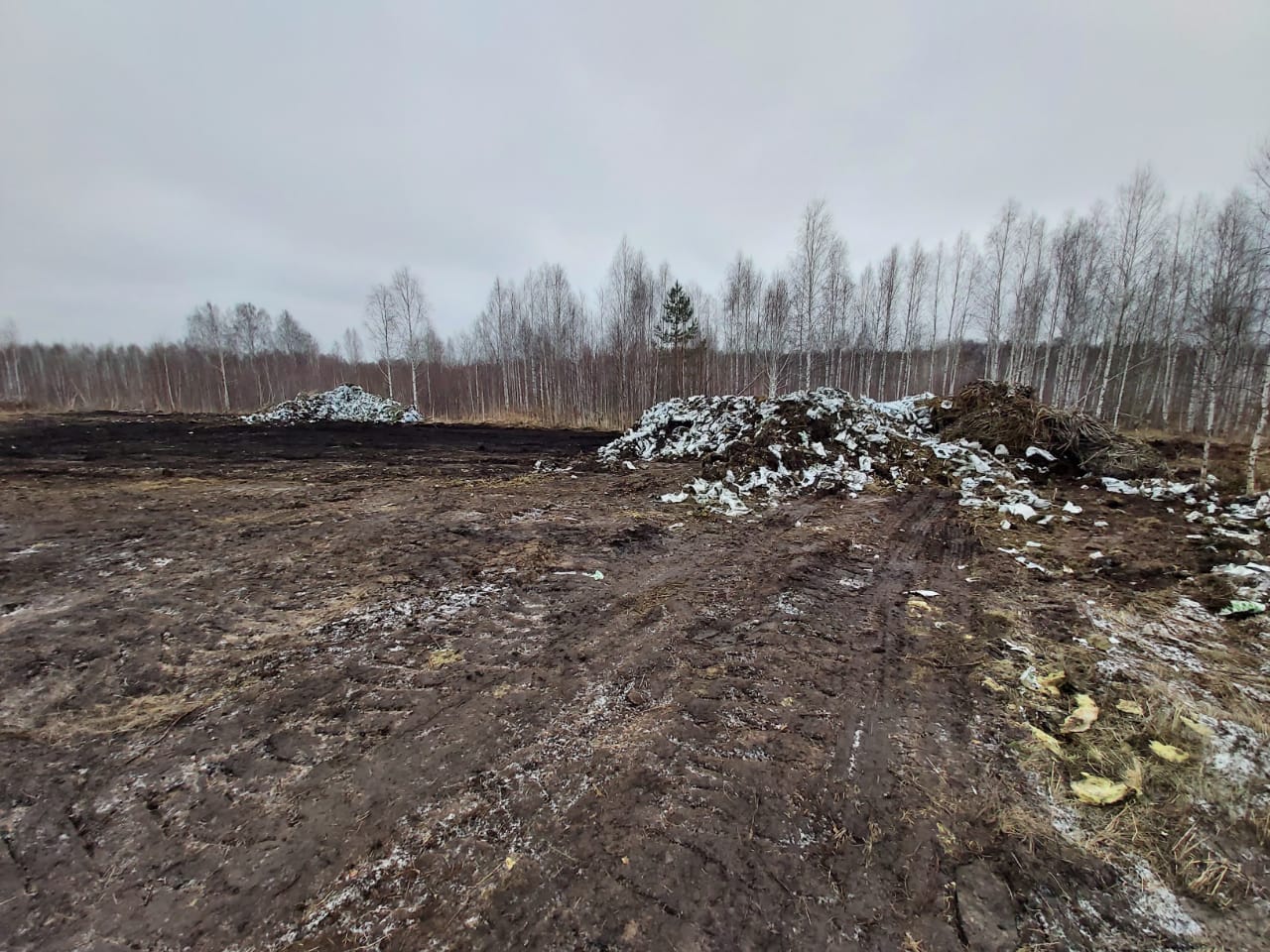 МинЖКХ Свердловской области запретило строительство мусорного полигона в Березовском, но местные власти с этим не согласны