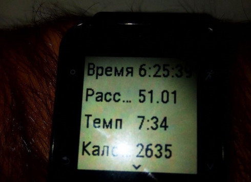 Екатеринбуржец пробежал 51 километр, не выходя из дома