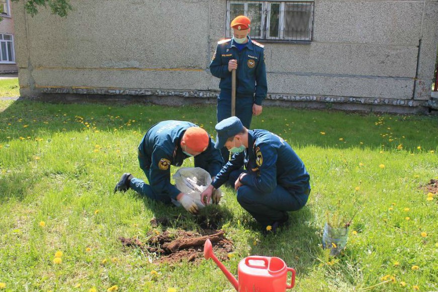 Новости садов екатеринбург