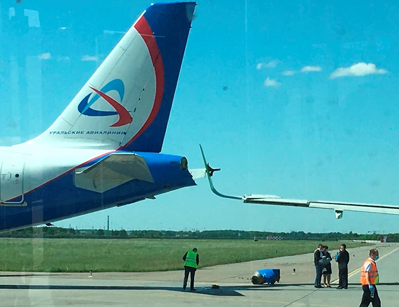 Самолёт «Уральских авиалиний» попал в «ДТП» с самолётом S7 в аэропорту Пулково