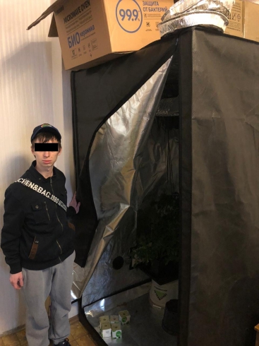 В Екатеринбурге полиция обнаружила плантацию конопли