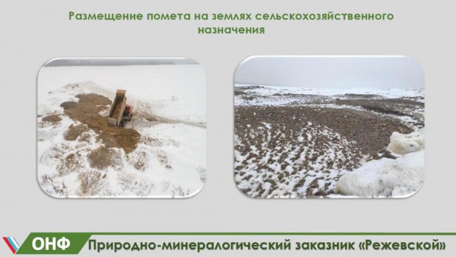 ОНФ пригрозил Среднеуральской птицефабрике масштабными проверками