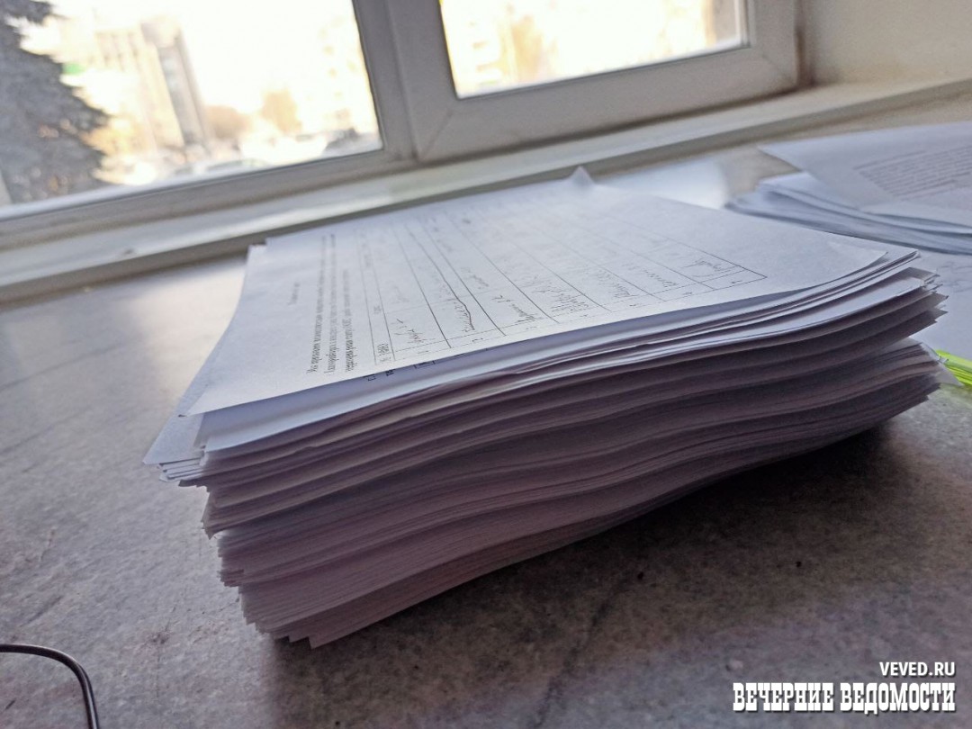 Экоактивисты передали мэру подписи 2 тысяч екатеринбуржцев в защиту Березовой рощи