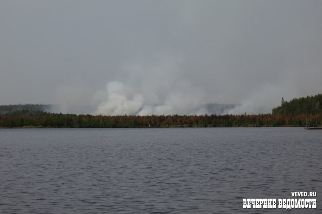 Волонтёры помогли тушению крупного лесного пожара под Екатеринбургом