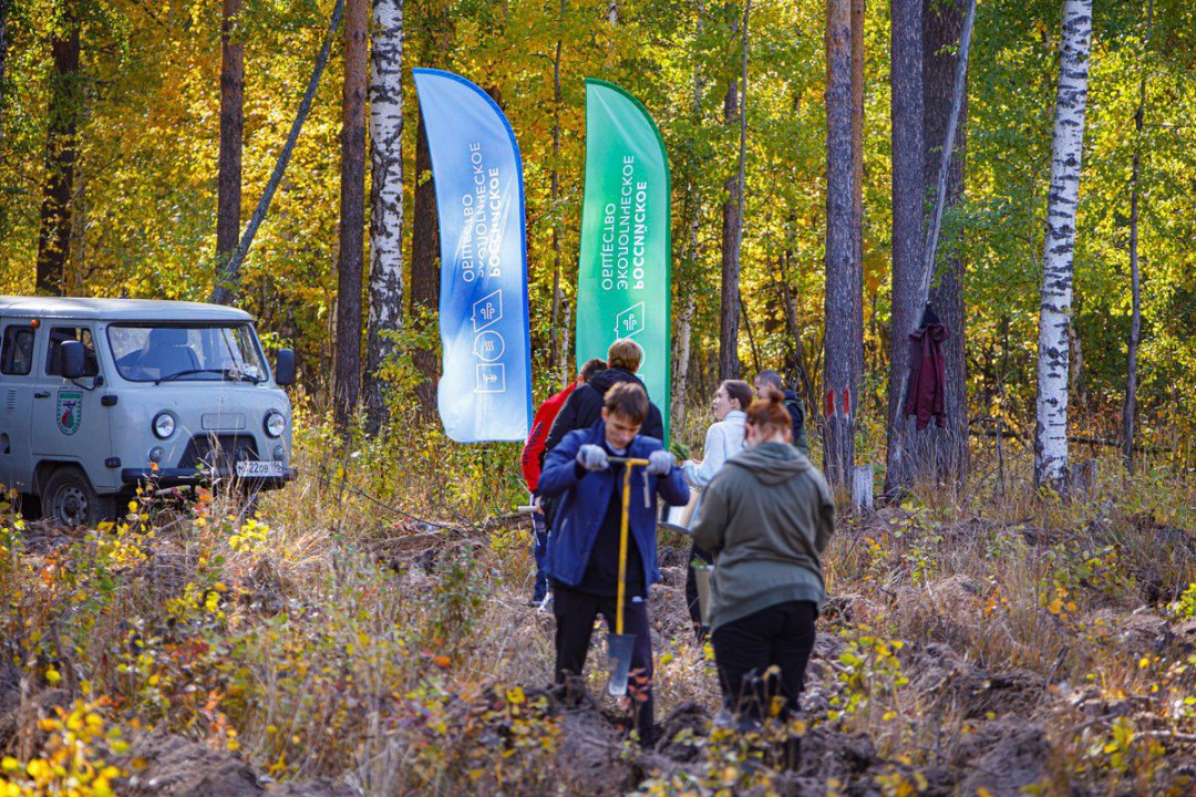 В Белоярском городском округе волонтеры высадили 5 гектаров леса