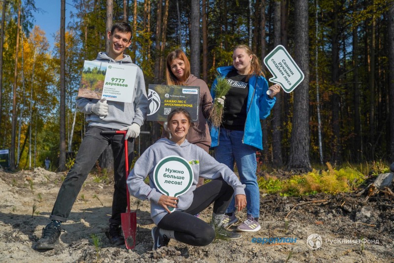 Волонтеры высадят на Среднем Урале 18 тысяч деревьев